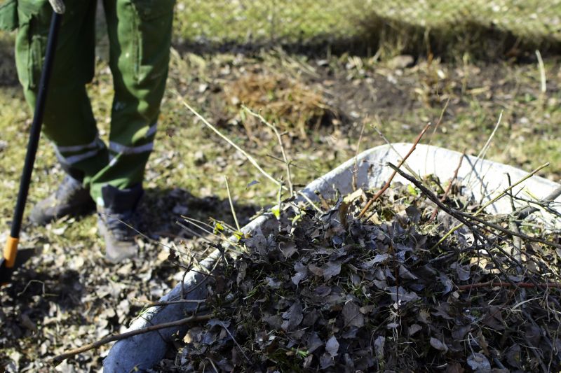 Brush Removal Service
