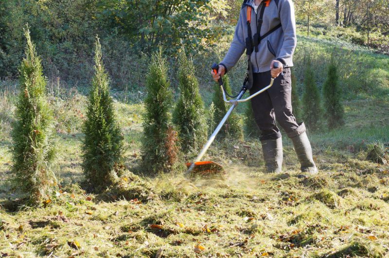 Brush Removal Service