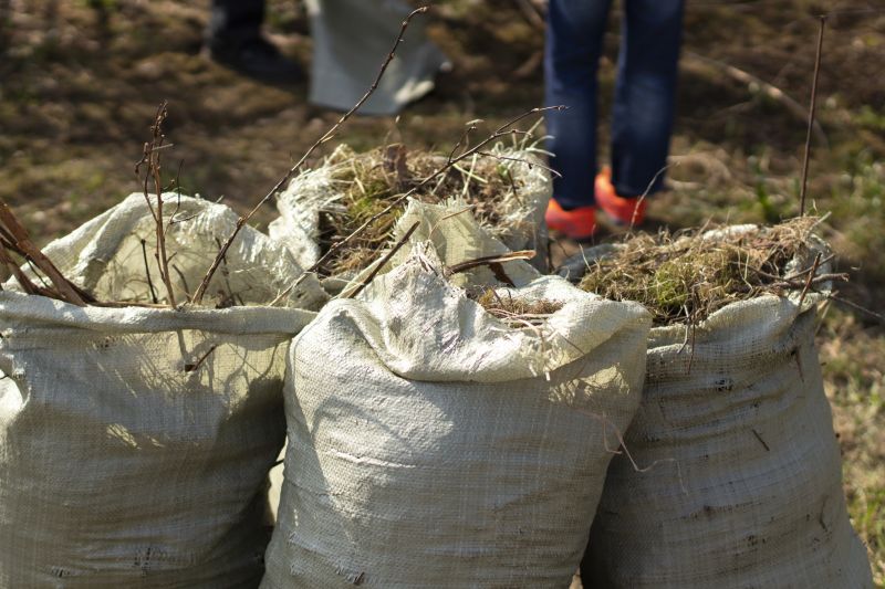 Brush Removal Service