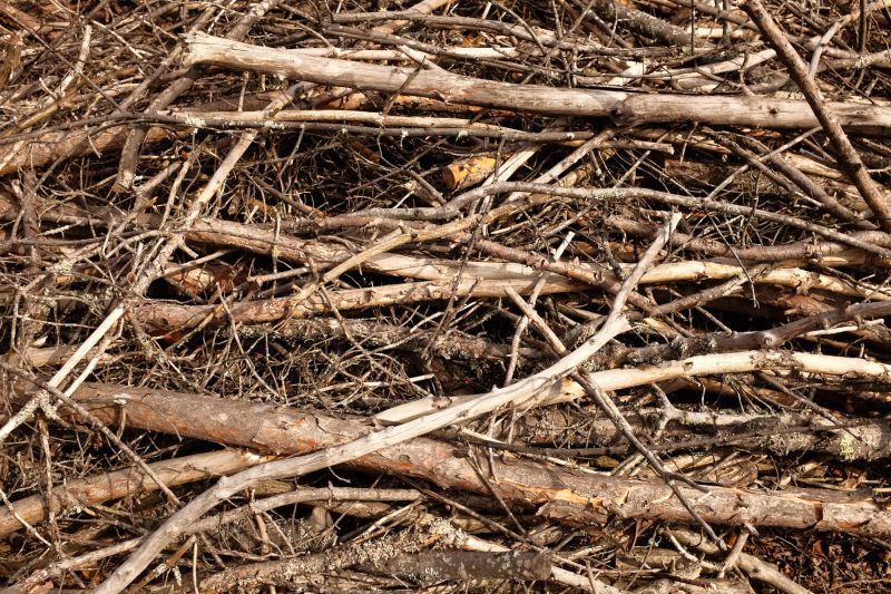 Products For Brush Removal Service in use