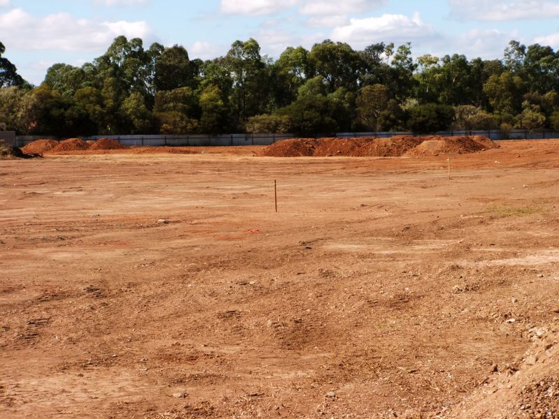 Pre-Construction Clearing