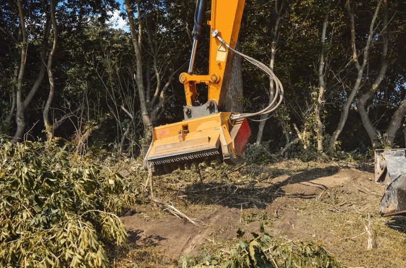 Brush Removal Service